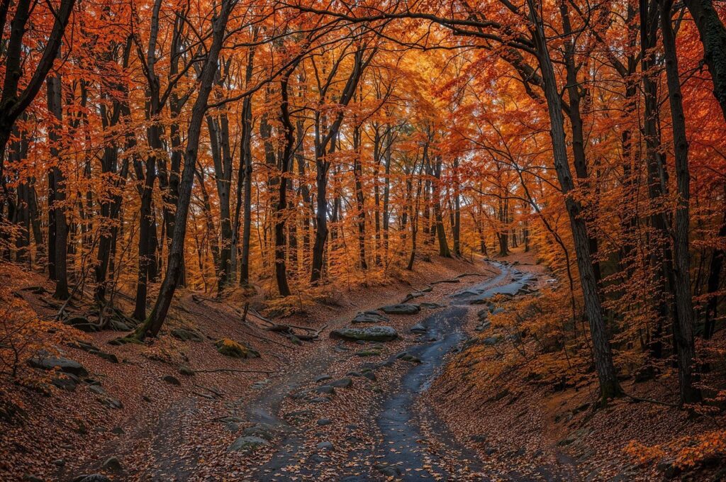 秋の抜け毛が気になる女性が旦那に説明するポイントは？