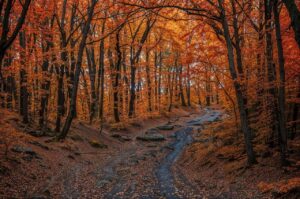 秋の抜け毛が気になる女性が旦那に説明するポイントは？