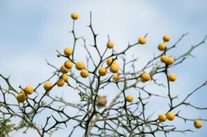 秋の抜け毛が気になる女性におすすめの運動不足解消法は？