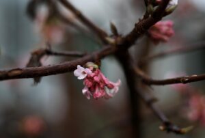 抜け毛は秋になぜ増えるのか？