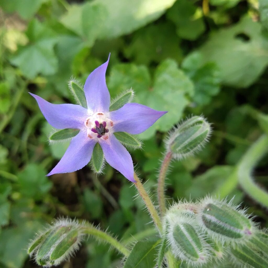 パーマが抜け毛を増える原因とは何か？