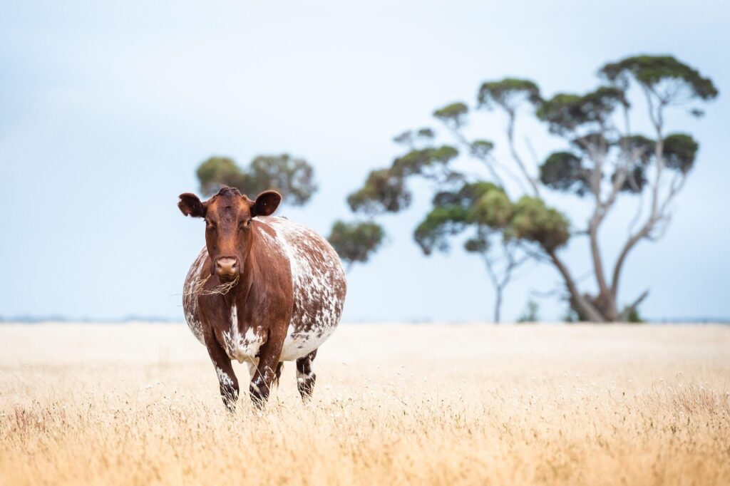 妊娠中に抜け毛が増える理由とは？