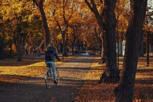 秋の抜け毛、女性が今すぐできる予防法は？